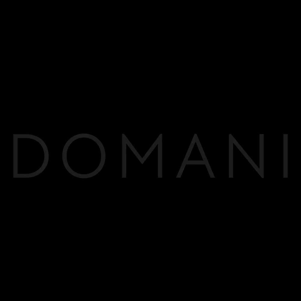 Domani logo